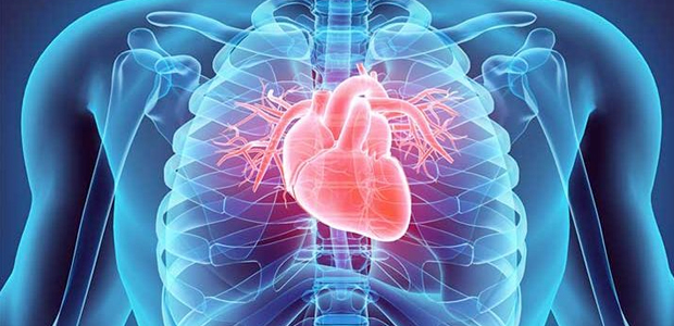 Immagine relativa al contenuto Angioplastica coronarica: semaforo verde per gli stent medicati