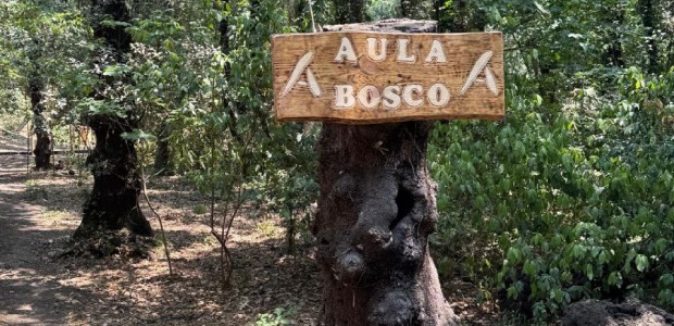 Immagine relativa al contenuto Inaugurazione dell'Aula Bosco del Dipartimento di Agraria