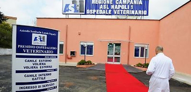 Immagine relativa al contenuto Adeguamento strutturale Presidio Ospedale Frullone Polo didattico Integrato